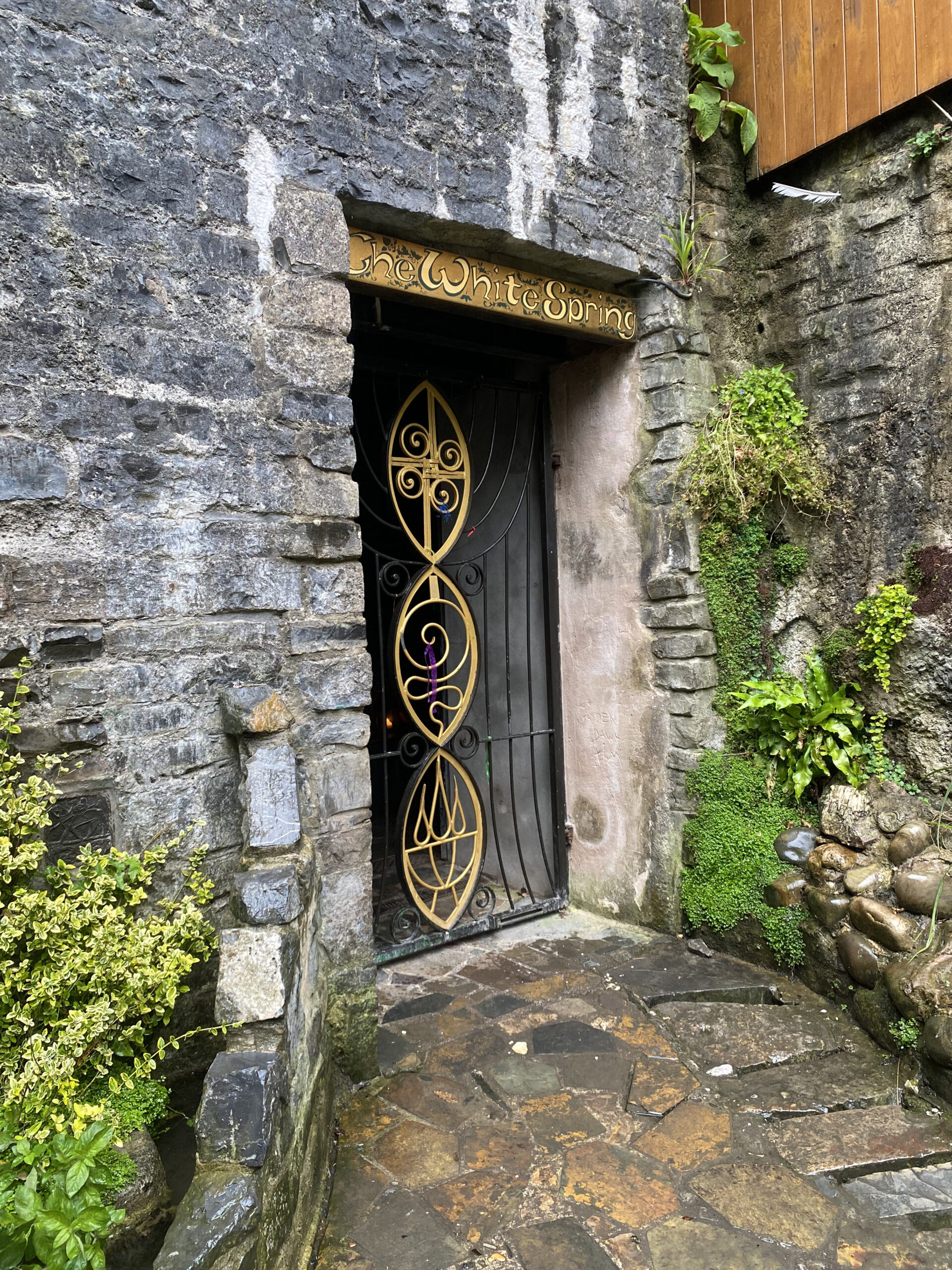 30 The White Spring - døren